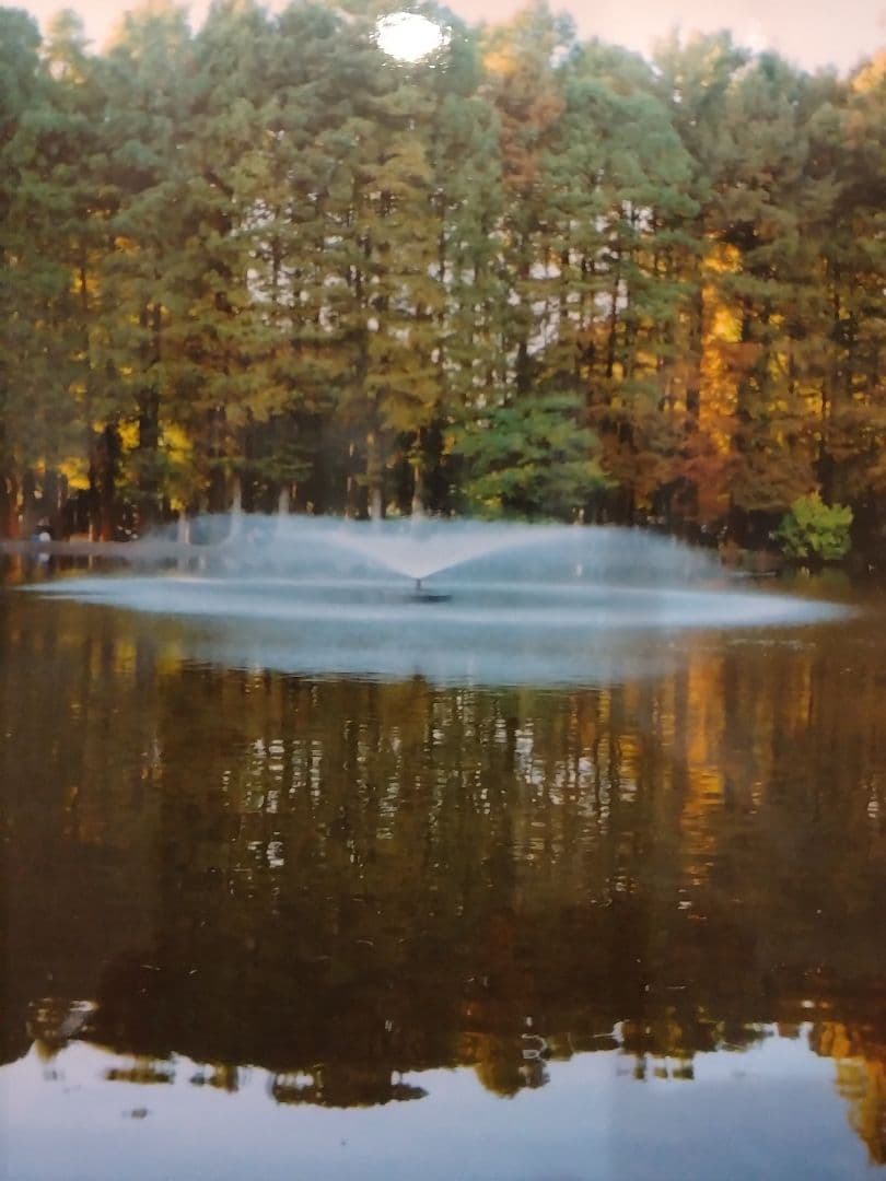 【稼動品】CONTAX T3D シルバー