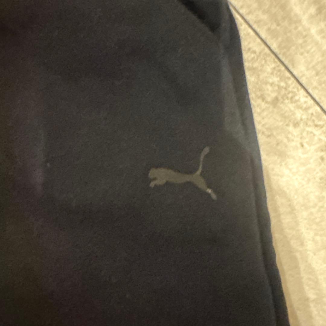 プーマ　セットアップ　フェラーリコラボ