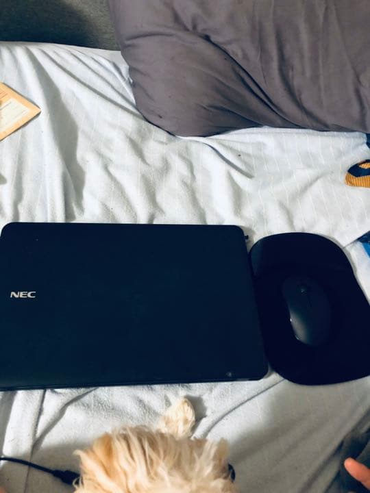 ノートパソコン pc