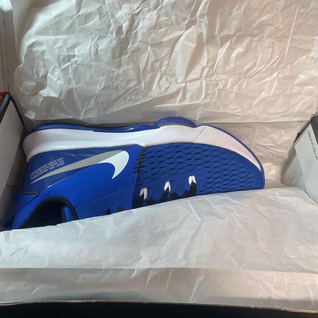 ☆希少カラー☆LEBRON WITNESS V