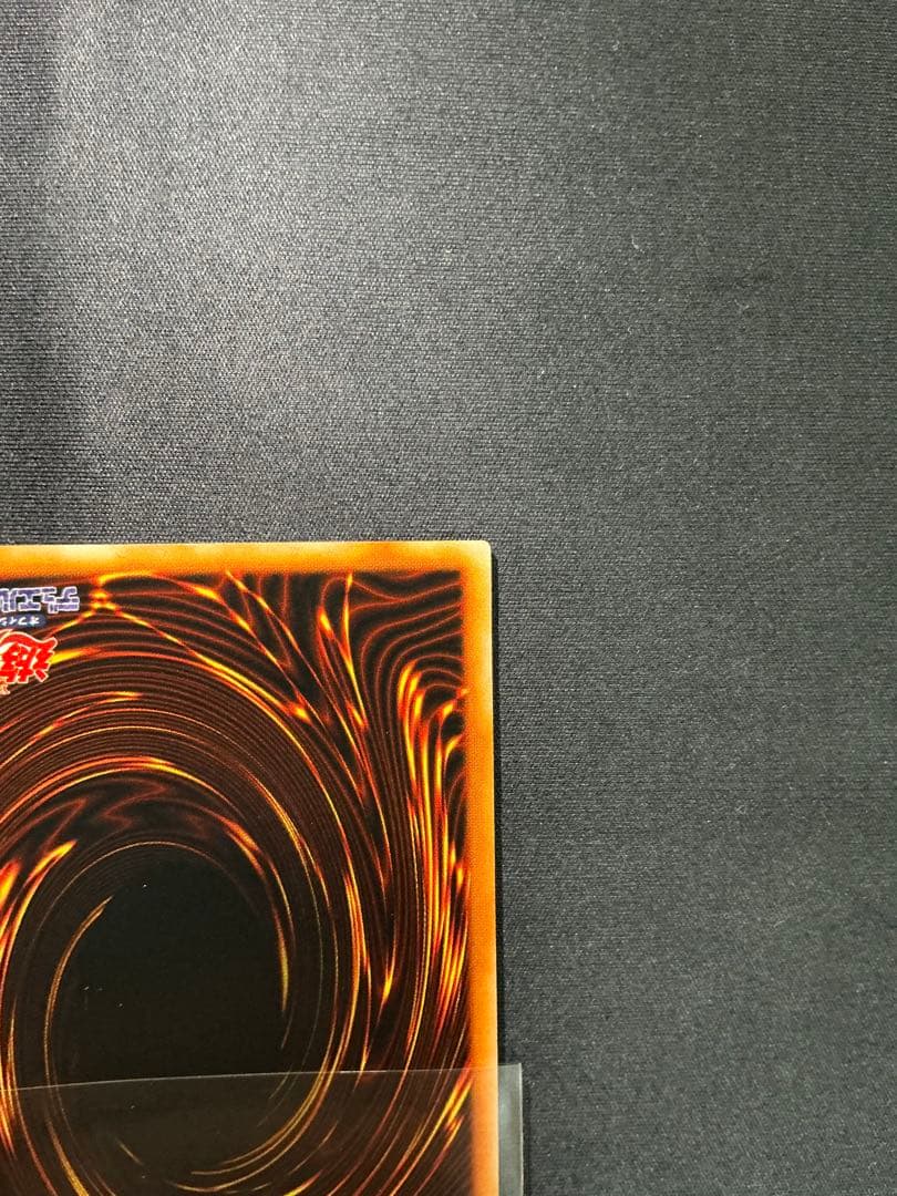 【確認用】　ライオンの儀式