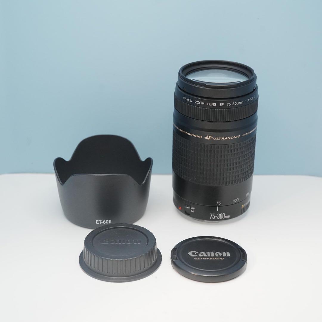 Canon純正 75-300mm 望遠レンズ 美品 a5134