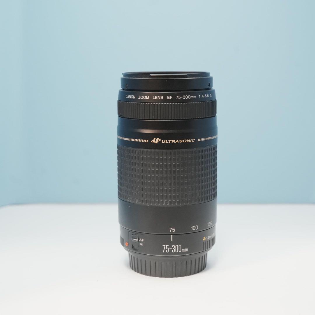 Canon純正 75-300mm 望遠レンズ 美品 a5134