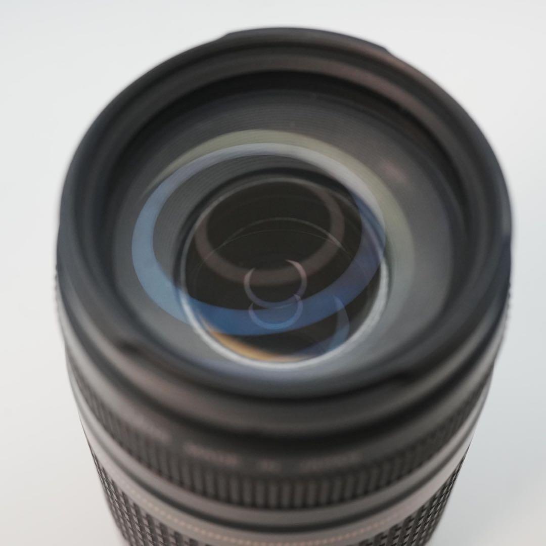 Canon純正 75-300mm 望遠レンズ 美品 a5134