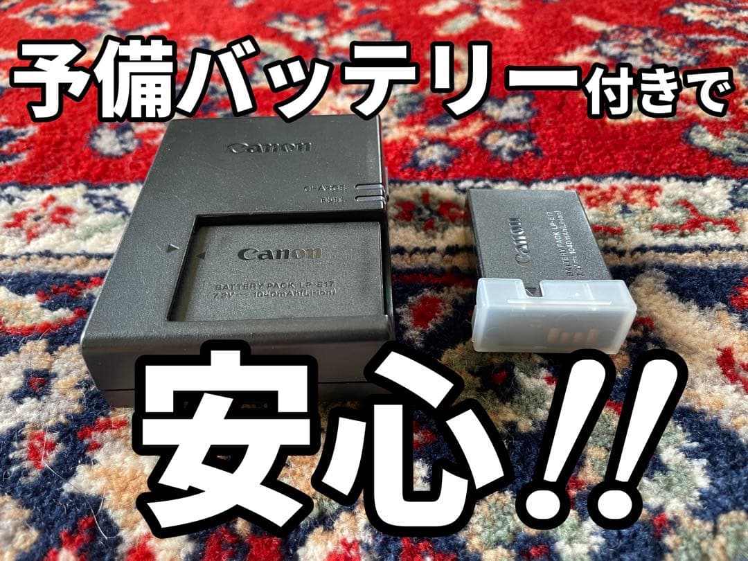 状態良い　キャノン EOS Kiss X10 マイク、予備バッテリーおまけ多数