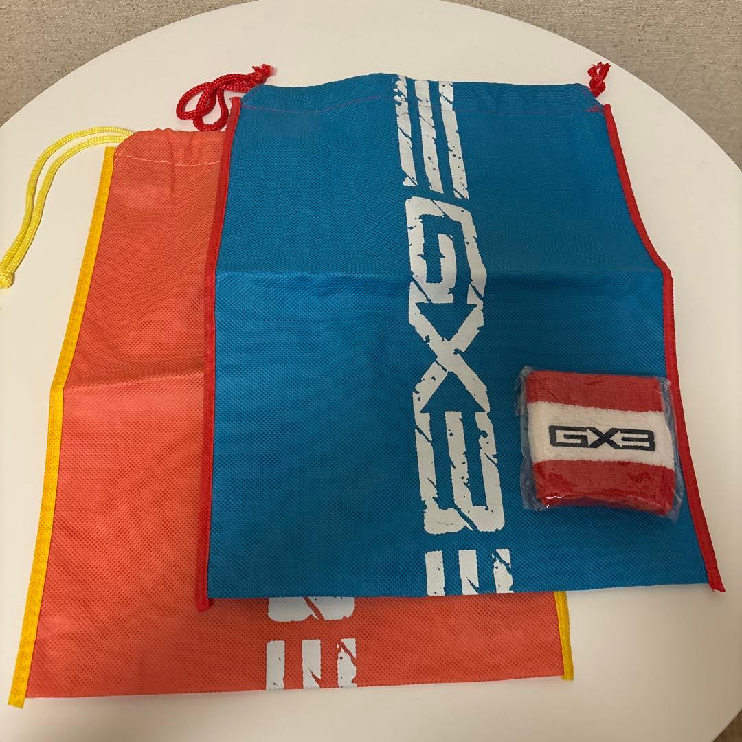 GX3 Mサイズ 13枚セット