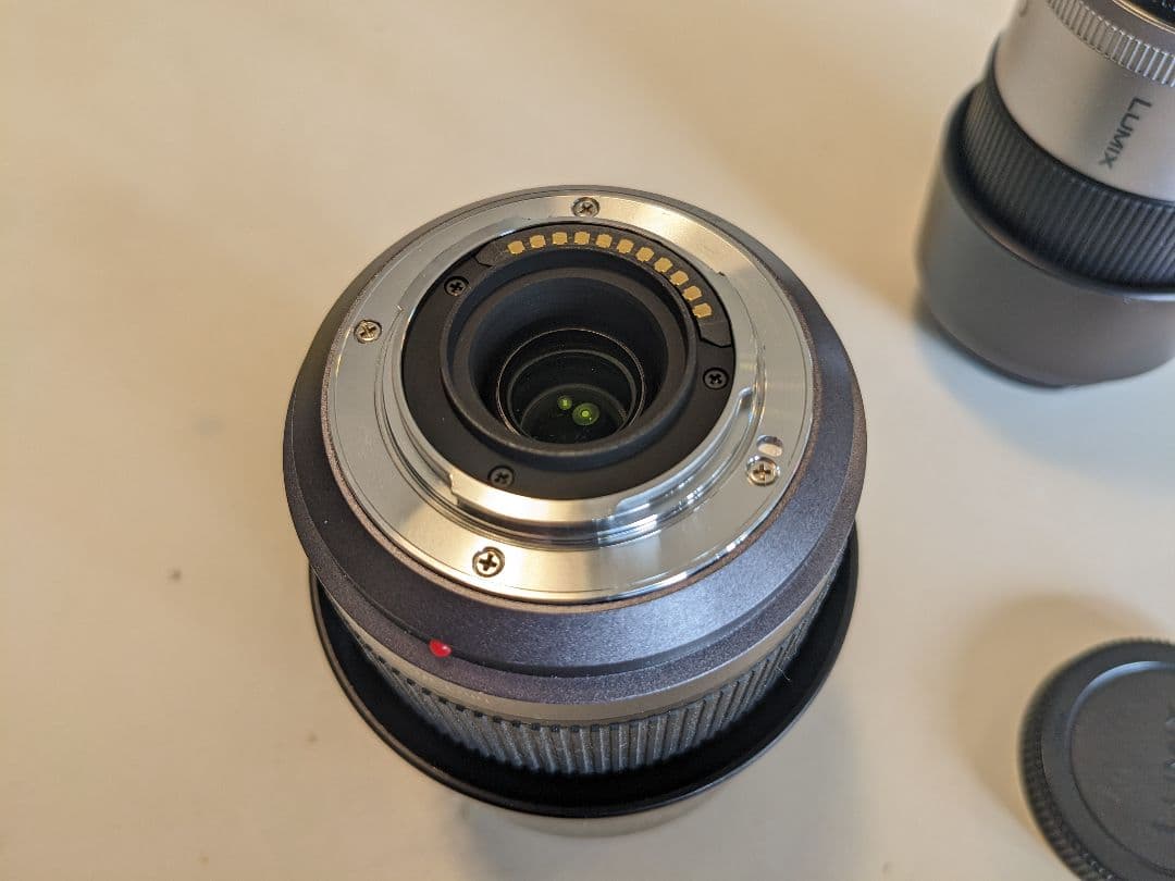 【ちゃん】LUMIX G VARIO 45-200mm レンズ