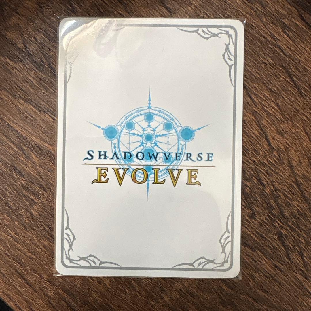 第七の絶傑 ヴァーナレク　リーダー