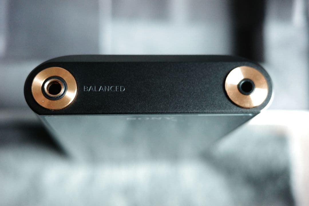 ソニー(SONY) ウォークマン 128GB WM1シリーズ NW-WM1AM2