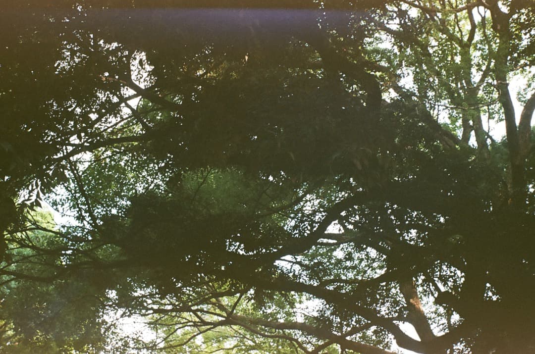 美品★Leica M3ダブルストローク+エルマー、アダプター等セット★整備品