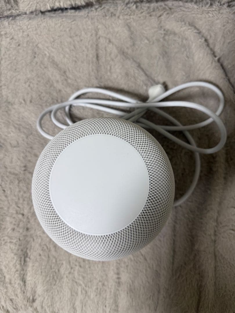 Apple Pod (第1世代) 2個セット ホワイト