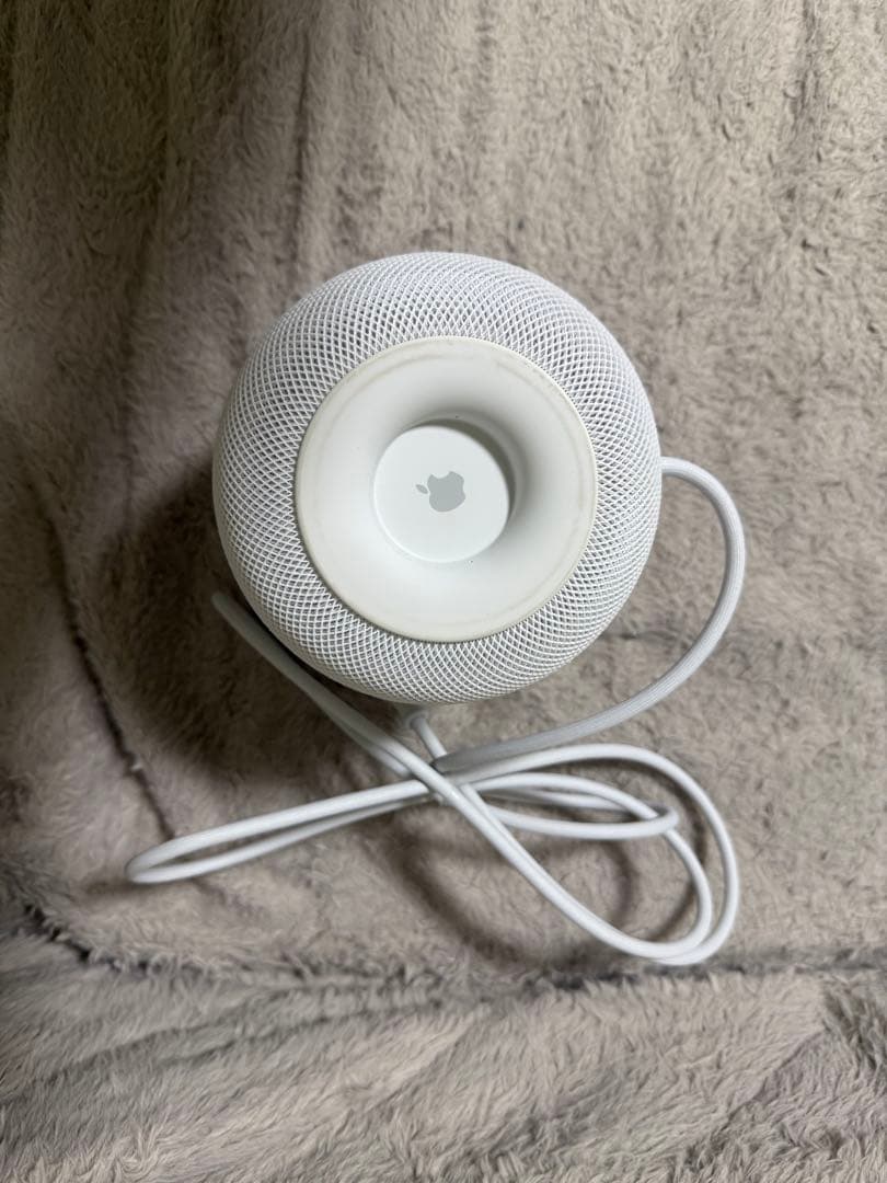 Apple Pod (第1世代) 2個セット ホワイト