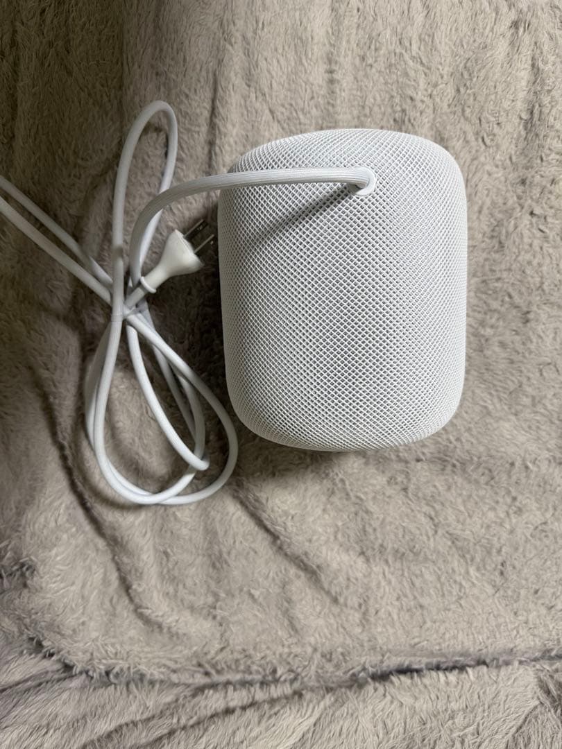 Apple Pod (第1世代) 2個セット ホワイト