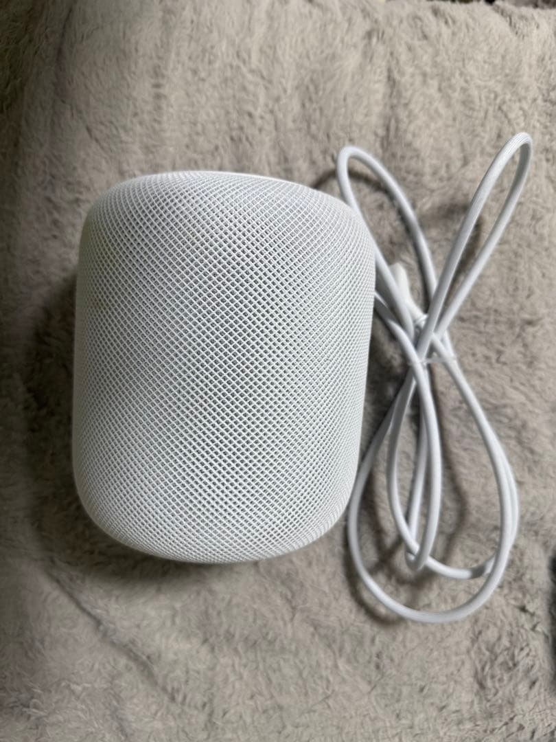 Apple Pod (第1世代) 2個セット ホワイト