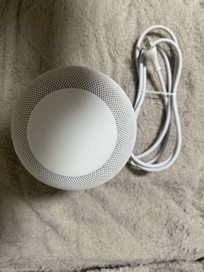 Apple Pod (第1世代) 2個セット ホワイト