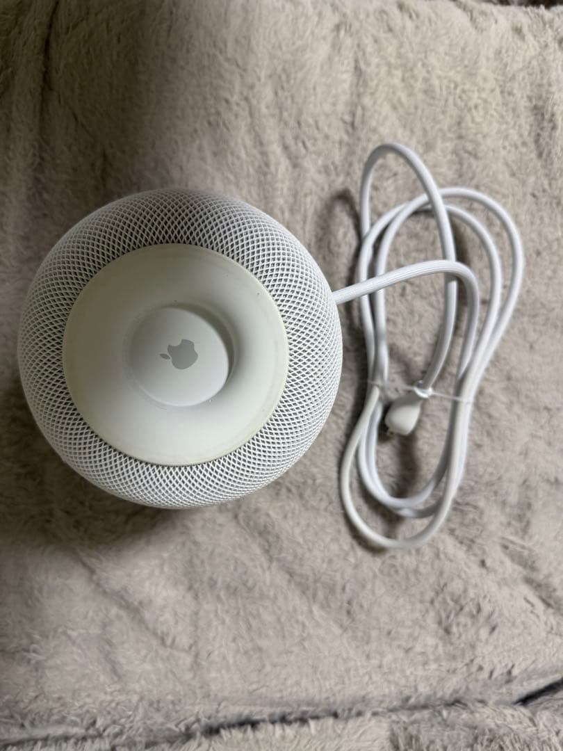 Apple Pod (第1世代) 2個セット ホワイト