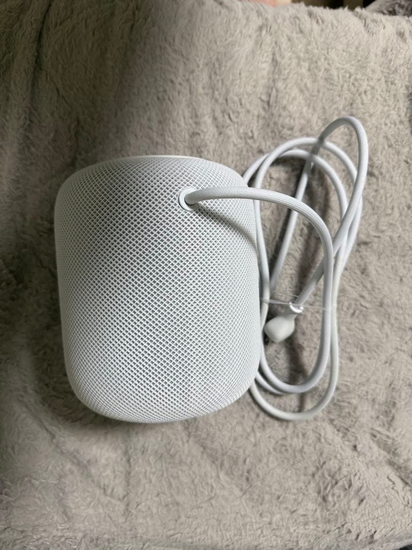 Apple Pod (第1世代) 2個セット ホワイト