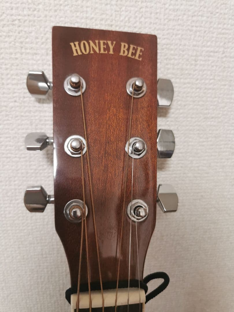 HONEY BEEハニービー　ギター　F-15M/TS マットフィニッシュモデル