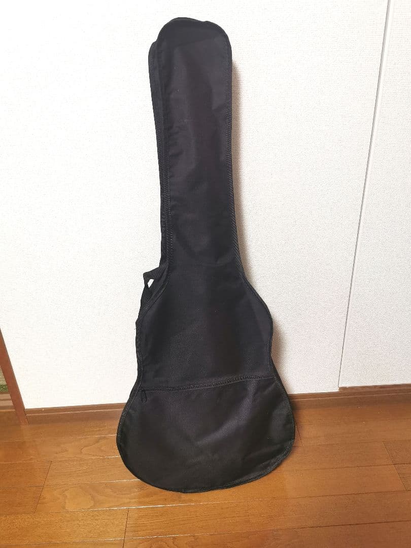 HONEY BEEハニービー　ギター　F-15M/TS マットフィニッシュモデル