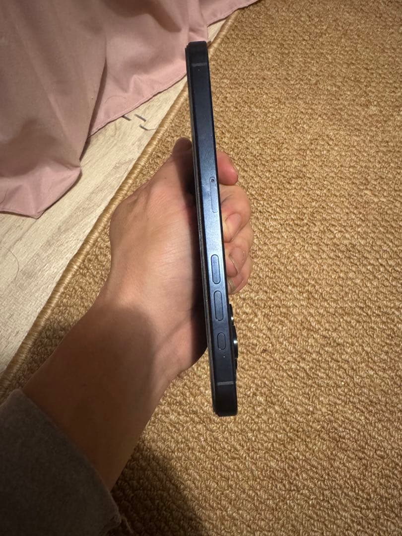 海外版iphone 15 Pro Max 256GB，極美品，バッテリー100%