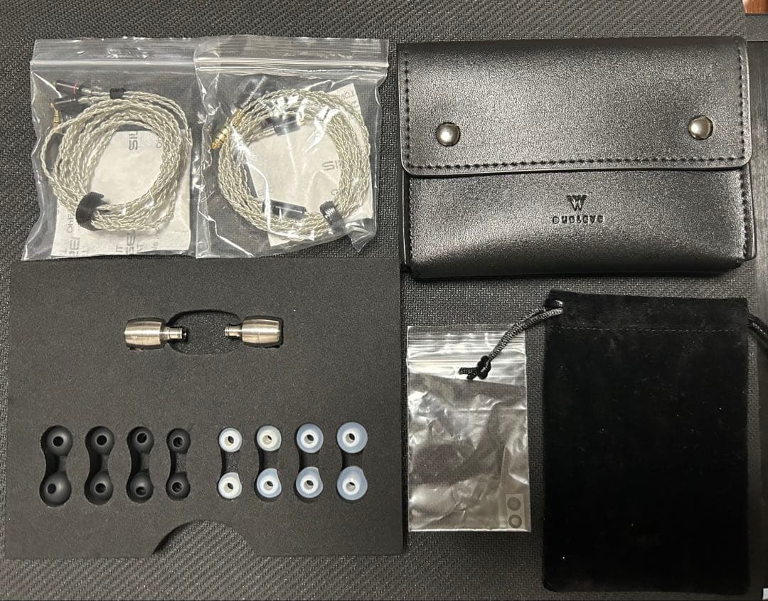 radius HP-W300 とFiiO Q3セット