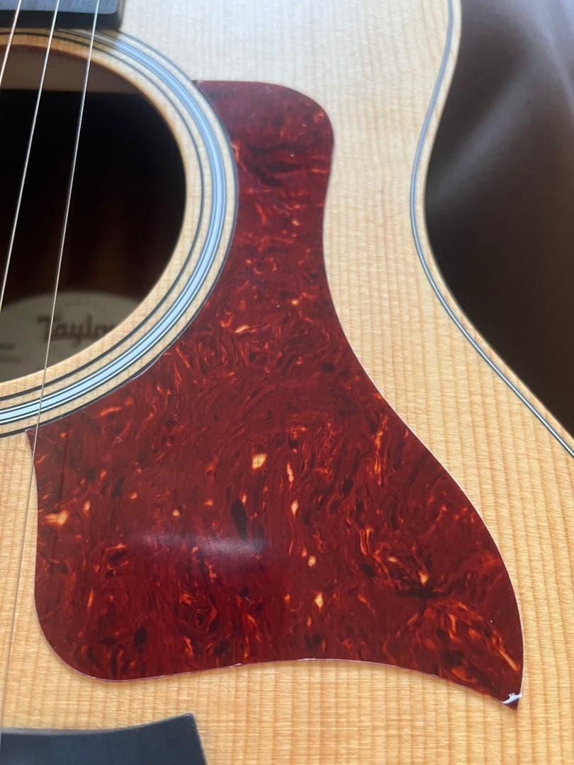 Taylor Guitars ( テイラーギター ) GS Mini-e