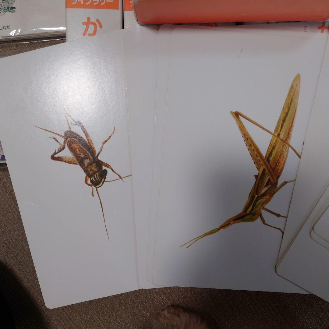 かな絵ちゃん　フラッシュカード 1800枚セット