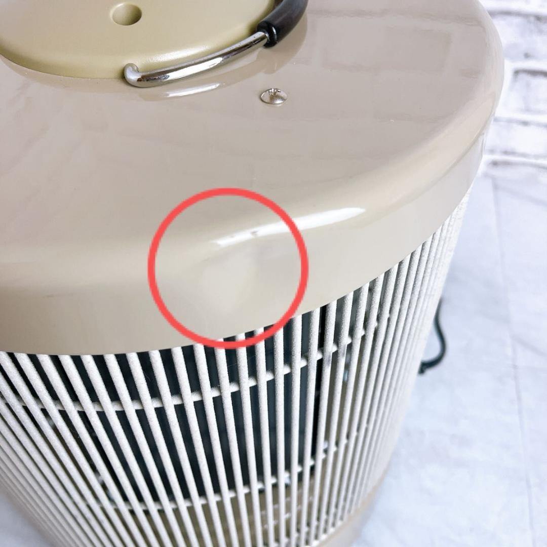 【本日限定価格】遠赤外線輻射式　パネルヒーター　DAN1000-R16 RCS