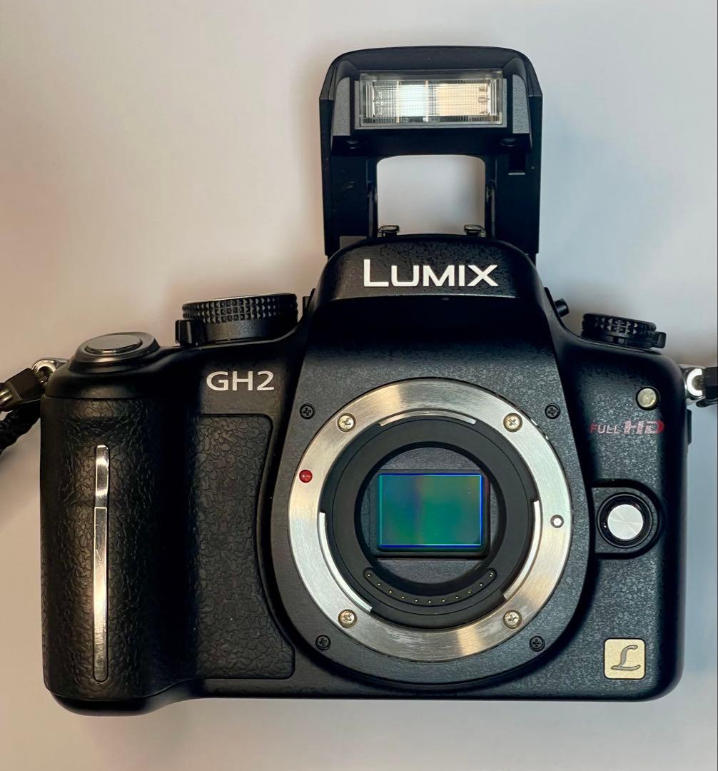 【動画の名機】Panasonic LUMIX DMC-GH2 ボディ