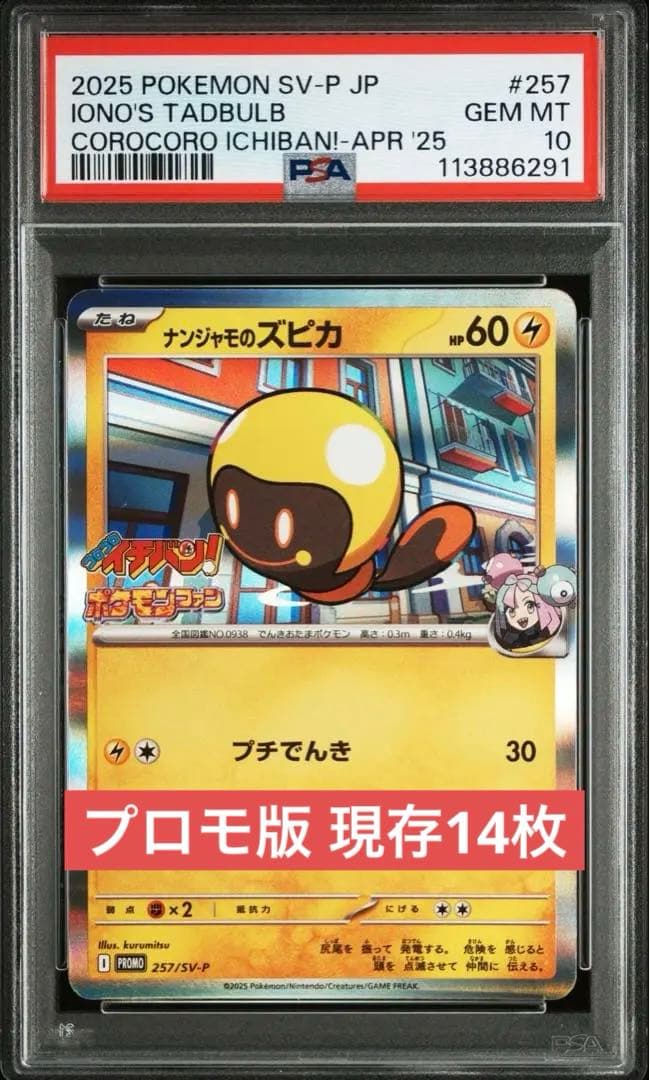 【PSA10】ナンジャモのズピカ【プロモ】ポケモンカード