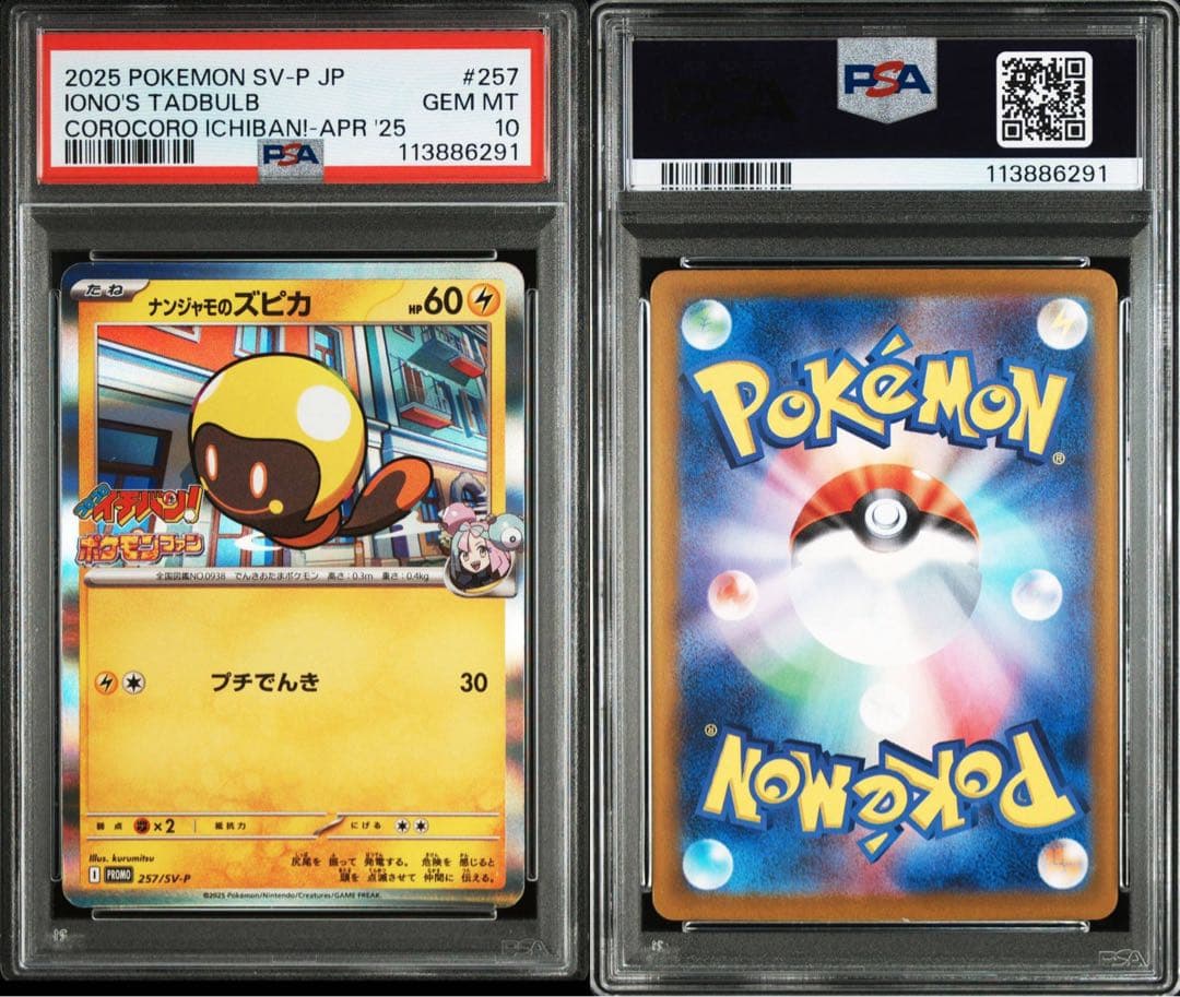 【PSA10】ナンジャモのズピカ【プロモ】ポケモンカード