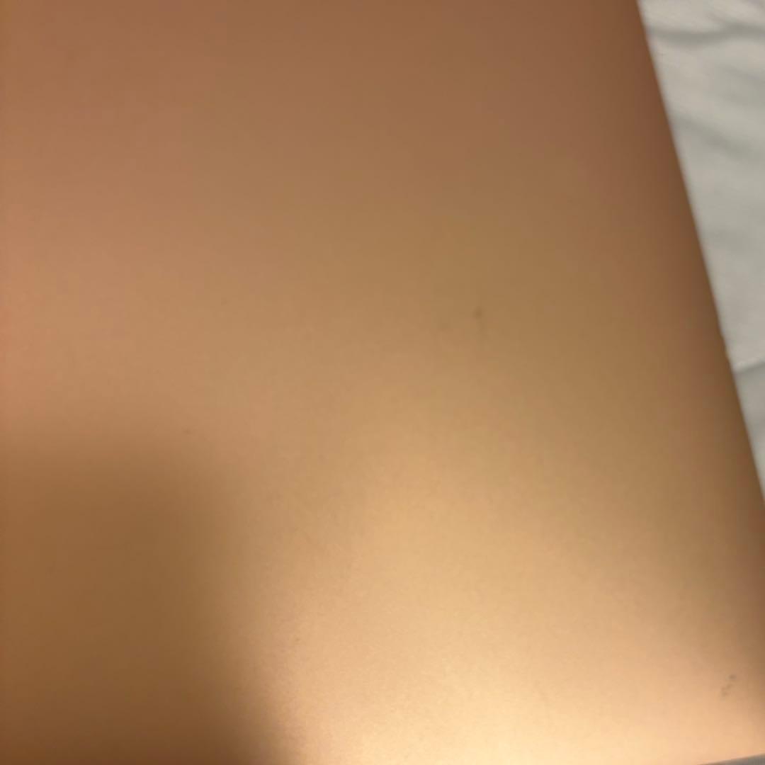 【ジャンク品】Apple MacBook Air m1