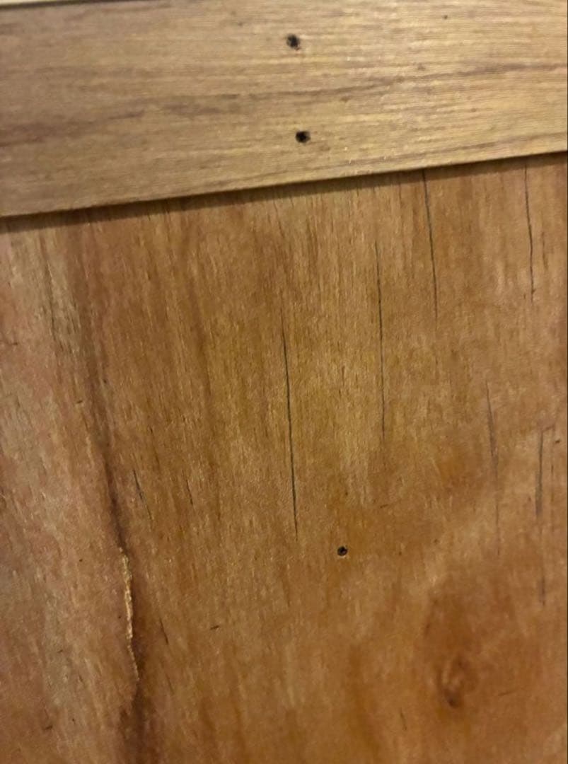 松太郎定価12万 graf × scope / messy メッシー