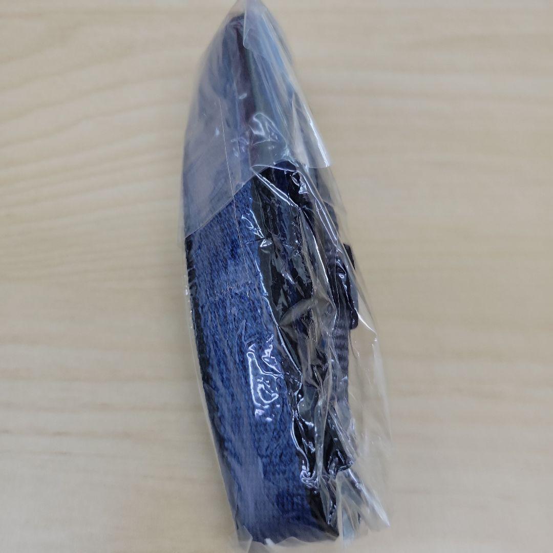 SONY CCD-TRV80PK ビデオカメラ