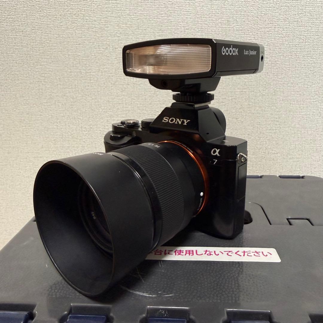 SONY α7＋FE 50mm F1.8+Godox Lux Junior