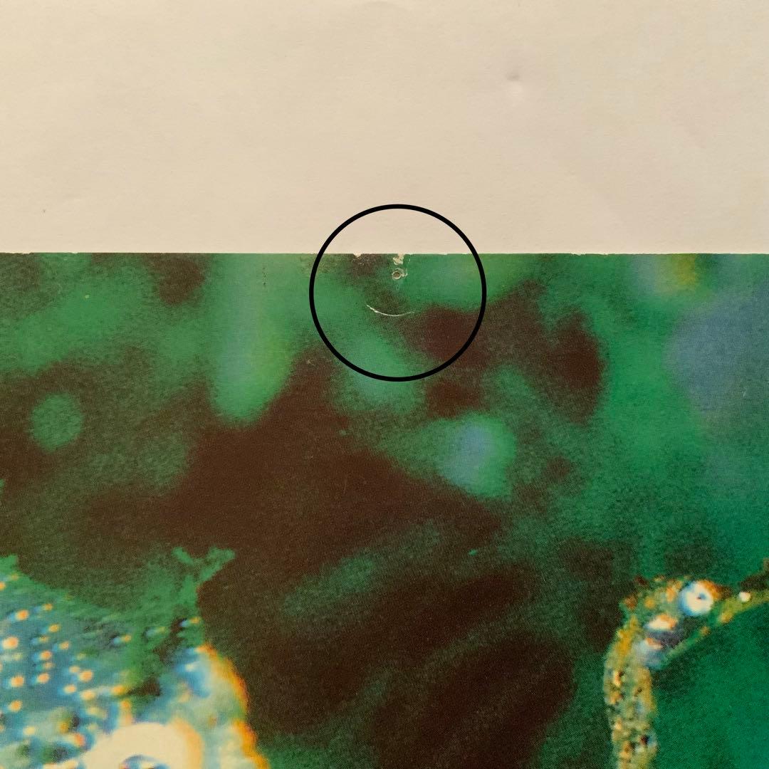 NIRVANA all apologies 12inch アートプリント2枚付