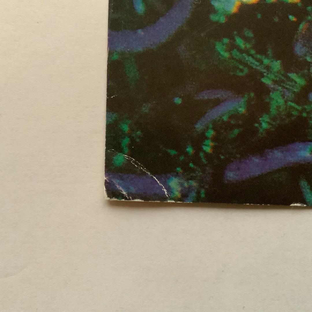 NIRVANA all apologies 12inch アートプリント2枚付