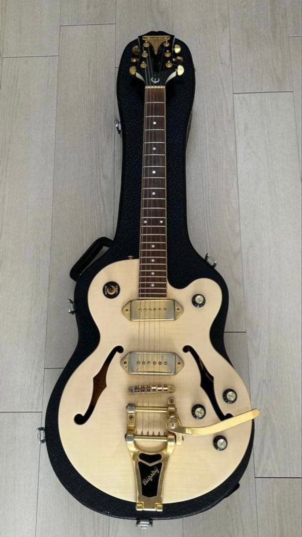 【‎一旦最終値下げなので買ってください】Epiphone WildKat
