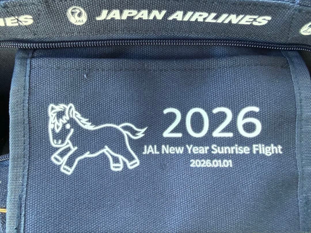 JAL 初日の出フライト