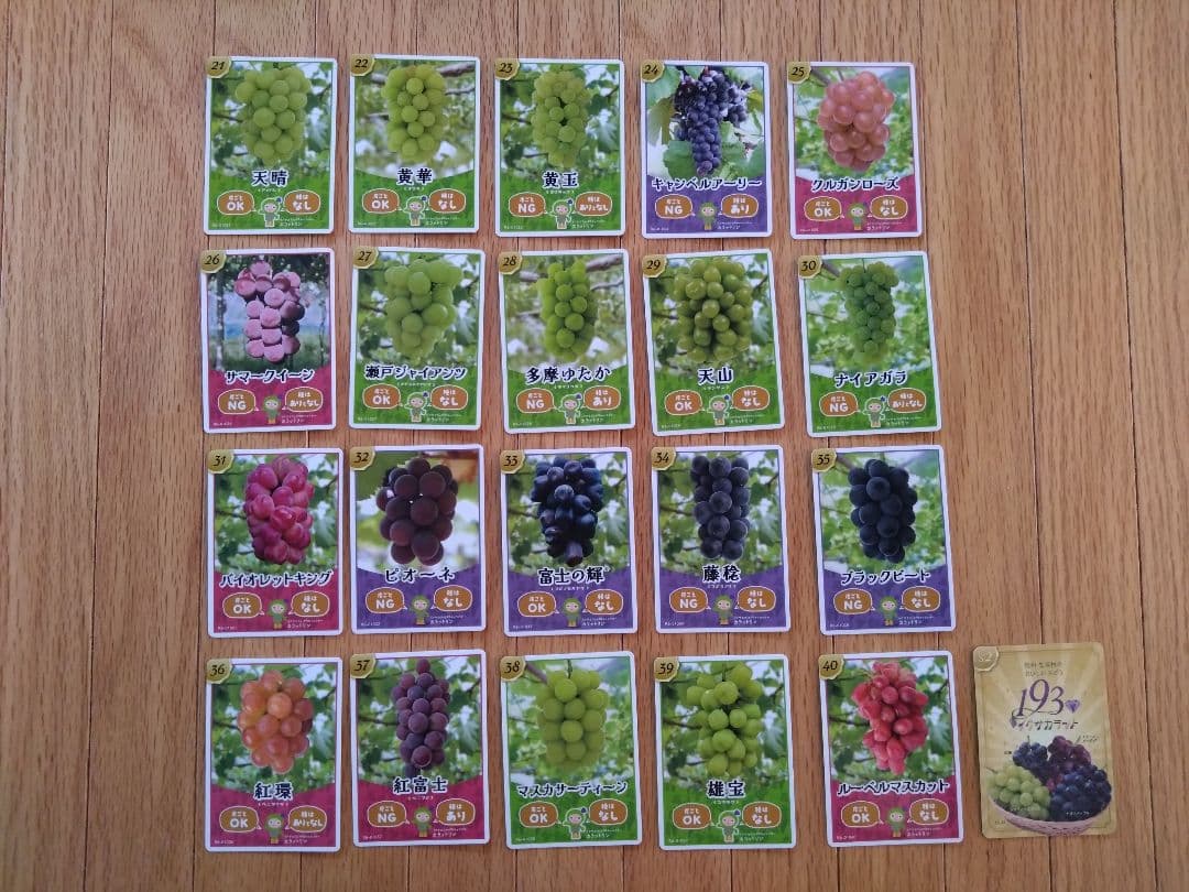 長野県　生坂村　ぶどうカード第2弾コンプリートセット