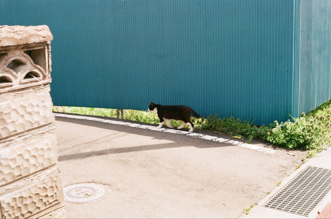 MAMIYA ZM Quartz　フルセット