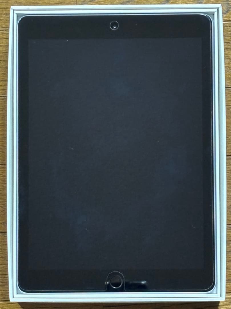 【本日発送】✨シーズー✨