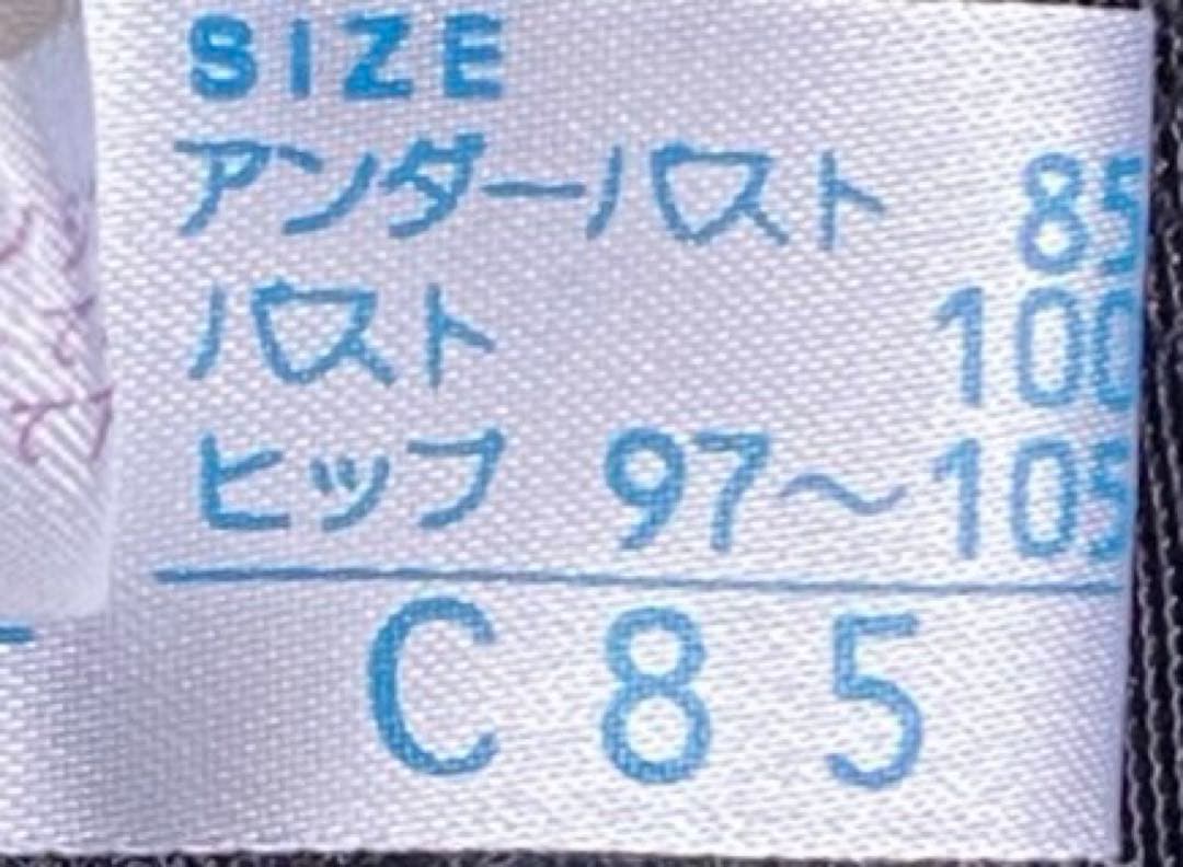 シャンデールのボディースーツx1 ブラx2 ガードルx2のブラックの5点セット