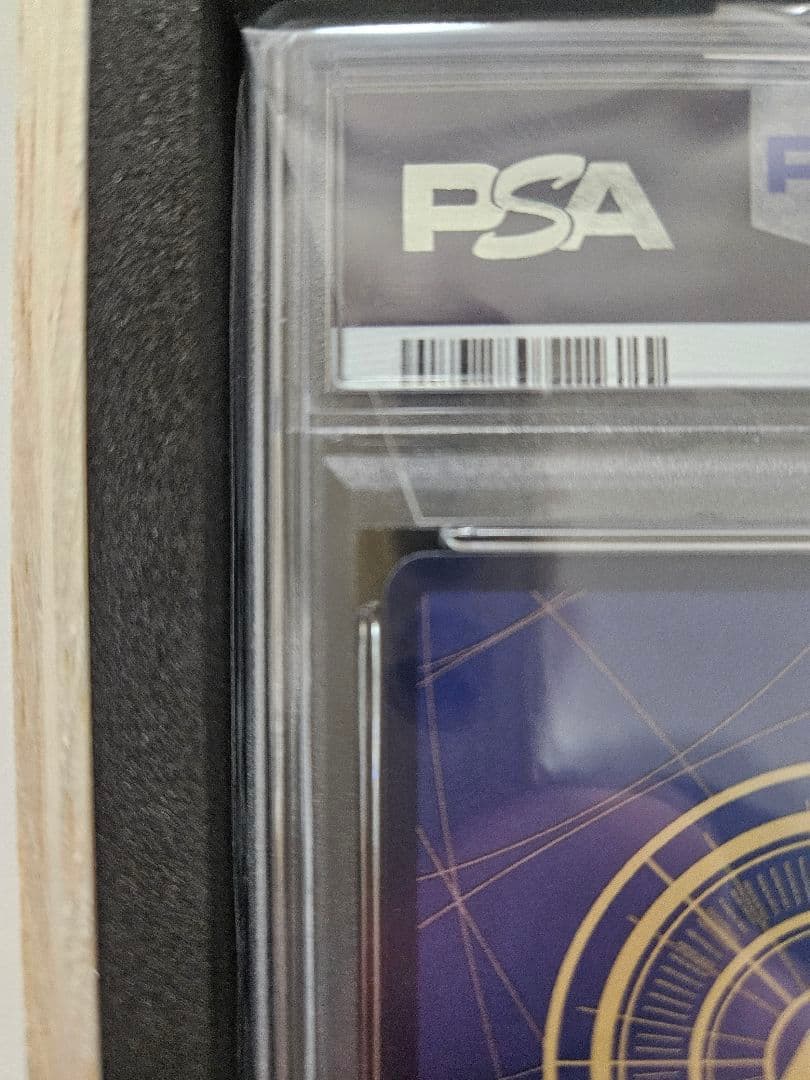 シャーロット・カタクリ：チャンピオンシップ2024 WAVE1エリア大会ベスト8