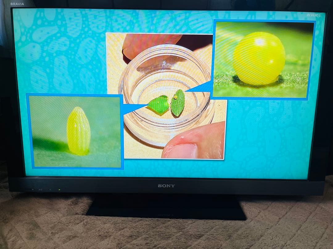 SONY ソニー 液晶デジタルテレビ KDL-40EX500 2010年 40型