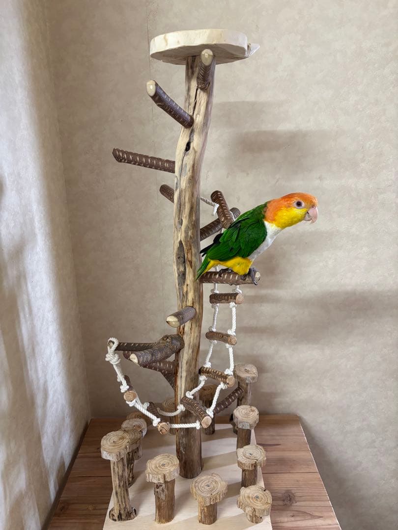 鳥インコ止まり木 流木バードアスレチックタワー型 大サイズバードジムバードトイ