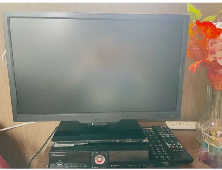 ドウシシャ 19V型 液晶 テレビ NTD19-01B