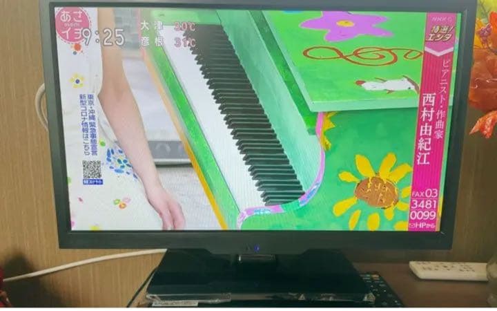 ドウシシャ 19V型 液晶 テレビ NTD19-01B