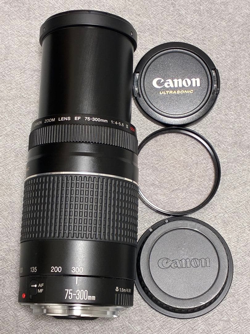 ⭐️美品⭐️ Canon EF 75-300mm F4-5.6 III USM望遠