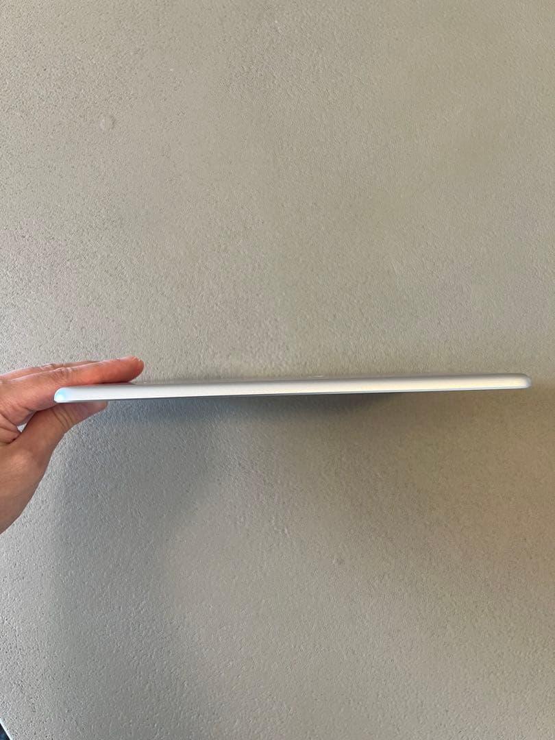 Apple iPad mini (第５世代) Wi-Fi + Cellular